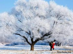 雪的形成过程是什么 雪的形成过程简便的说