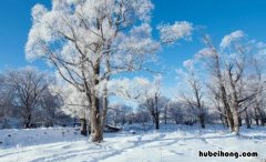雪的描写有哪些 关于雪的雪