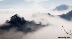 雾是怎么形成的 雾是怎么形成的又是怎么消失的