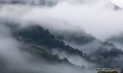 雾的形成是什么物态变化 雾的形成是什么物理现象