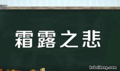 霜露之悲的意思是什么 霜露之感造句