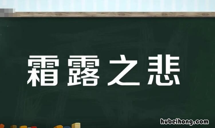 霜露之悲的意思是什么 霜露之感造句