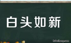 白头如新是什么意思 青盖如故白头如新是什么意思