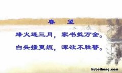 白头搔更短下一句是什么 白头搔更短是什么意思