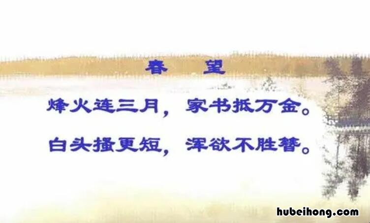 白头搔更短下一句是什么 白头搔更短是什么意思