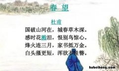 白头搔更短浑欲不胜簪的意思是什么 家书抵万金的理解及情感