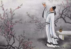 白日放歌须纵酒青春作伴好还乡的作者是谁 白日放歌须纵酒青春作伴好还乡出自哪首诗