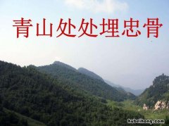 青山处处埋忠骨出自哪首诗 青山处处埋忠骨是出自哪本书