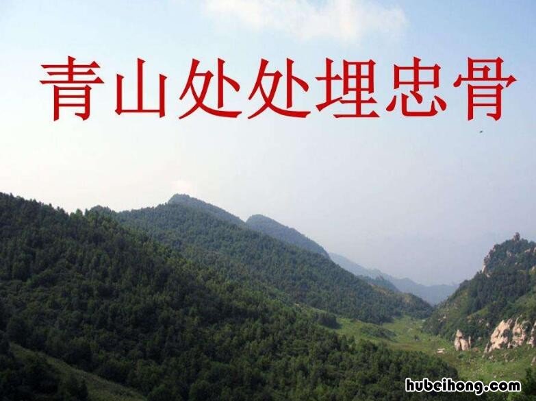 青山处处埋忠骨出自哪首诗 青山处处埋忠骨是出自哪本书