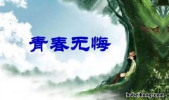 青春无悔作文怎么写 青春无悔的作文800字记叙文高中版