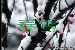 白雪却嫌春色晚下一句是什么 白雪却嫌春色晚全诗