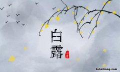 白露秋分是什么意思 关于白露和秋分的谚语有哪些四年级
