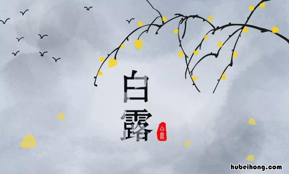 白露秋分是什么意思 关于白露和秋分的谚语有哪些四年级