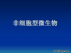 非细胞型微生物有哪些 非细胞型微生物有哪些特点
