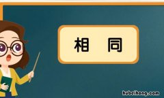 相同的反义词是什么 同样的反义词语