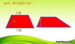 直角梯形的面积公式是什么 算三角形面积有几种算法