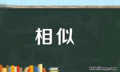 相似的反义词是什么 相似的反义词是什么啊