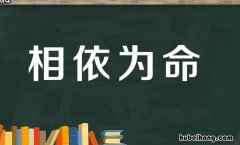 相依为命的近义词是什么 震天动地 的近义词语