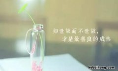 知世故而不世故什么意思 看似乐观实则悲观的句子
