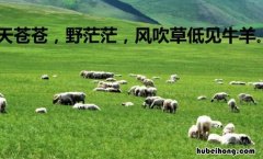 风吹草低见牛羊是什么意思 风吹草低见牛羊什么肖