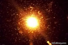飞蛾扑火歇后语是什么 歇后语大全500条小学生