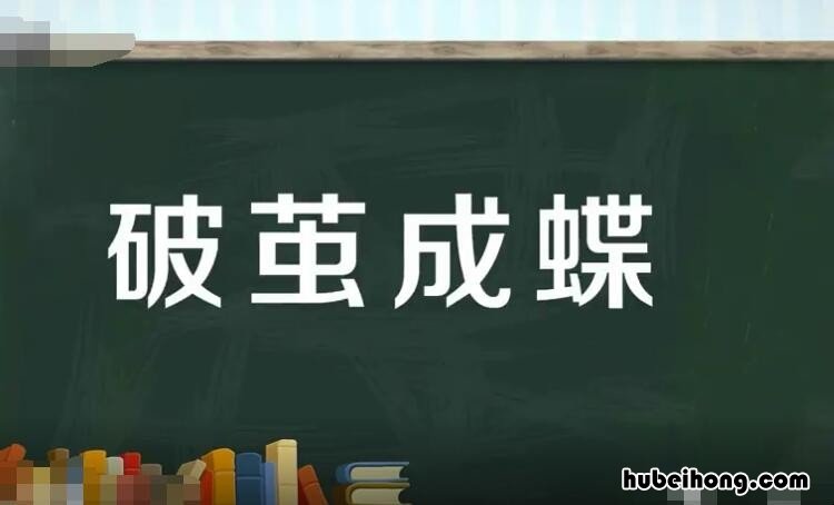 破茧成蝶怎么造句 破茧成蝶的用法有哪些