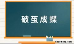 破茧成蝶是什么意思 破茧成蝶是什么意思打一生肖