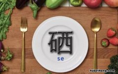 硒产业有哪些 硒产业现在前景
