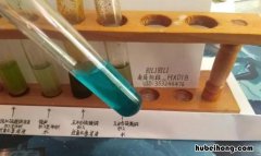 硫酸铜溶液是纯净物吗 硫酸铜溶液图片