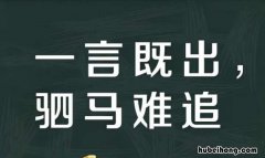 驷马难追的上一句是什么 驷马难追的前一句话是什么成语