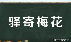 驿寄梅花是什么意思 驿寄梅花用来比喻什么