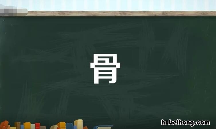 骨的多音字组词有哪些 骨的多音字,并组词
