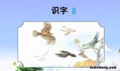 鸟字旁的字有哪些 鸟字旁的字有哪些怎么写