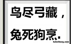 鸟尽弓藏兔死狗烹的意思是什么 鸟尽弓藏兔死狗烹是谁说的