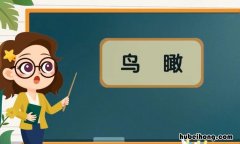 鸟瞰是什么意思 什么叫鸟瞰图俯视
