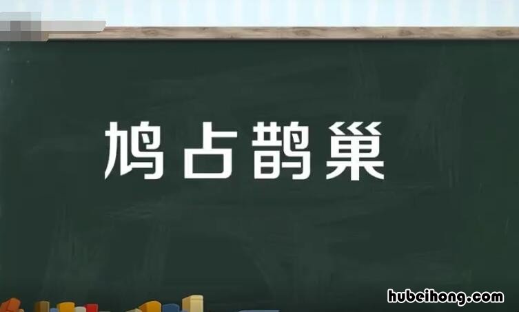 鸠占鹊巢怎么造句 鸠占鹊巢病句
