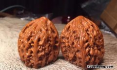 鸡心核桃产地是哪里 鸡心核桃怎么玩