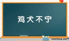 鸡犬什么四字成语有哪些 鸡狗犬什么成语