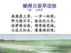 离离原上草全诗是什么 离离原草一岁一枯荣作者