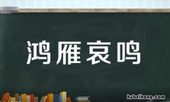 鸿雁哀鸣的意思是什么 鸿雁鸣打一数字