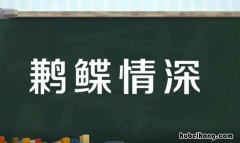 鹣鲽情深的下一句是什么 鹣鲽情深怎么读音
