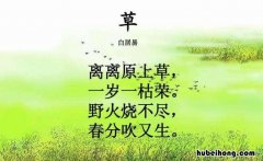 离离原上草出自哪首诗