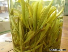 黄山茶叶也有哪些品种 黄山茶叶种类
