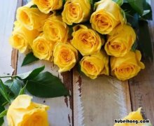 黄色玫瑰花语是什么 绿色的玫瑰花的花语