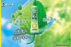 黑人牙膏是中国的吗 冷酸灵牙膏是中国品牌吗