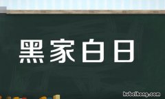 黑家白日的意思是什么 黑影与白家