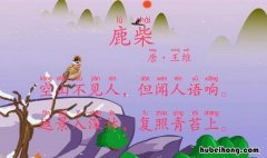空山不见人出自哪首诗 古诗空山不见人是哪首诗