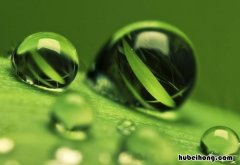 空气负离子生成方式有哪些 空气负离子生成方式有哪些种类图片