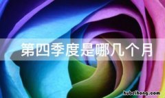 第四季度是哪几个月 税务第四季度是哪几个月