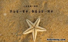 简短励志唯美句子有哪些 简短励志短句唯美